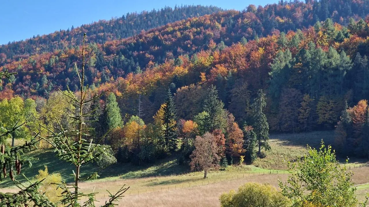 Appartement Akra à Zakopane Pologne